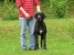 Ch. Canis Meus Portobello Belle